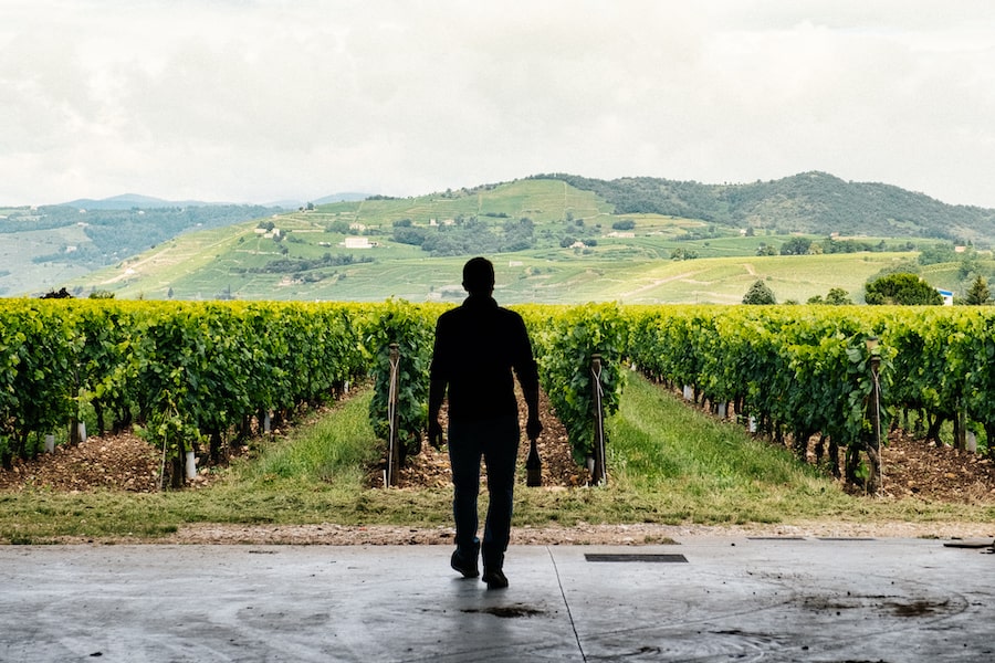 Les différents métiers du vin