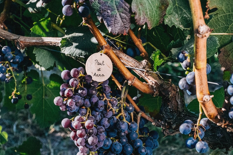En route vers une consommation durable et responsable