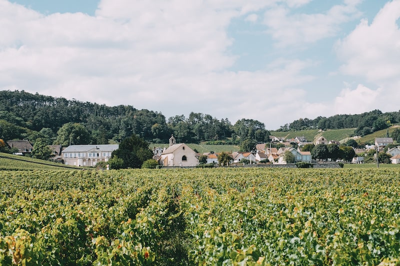 Le terroir, un mot qu'on aime et qu'on déteste ?