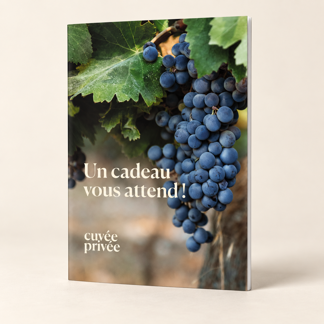 Carte Cadeau