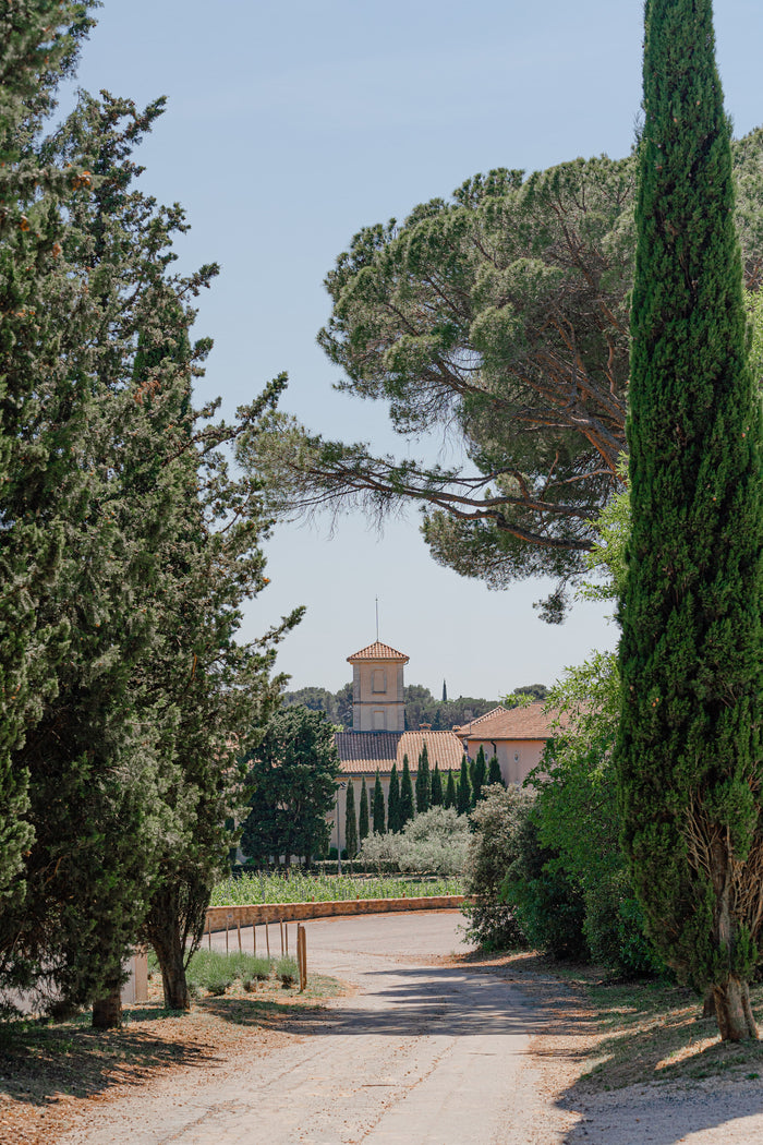 Châteauneuf-du-Pape