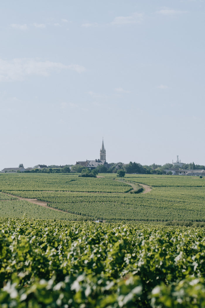 Pouilly-Fumé