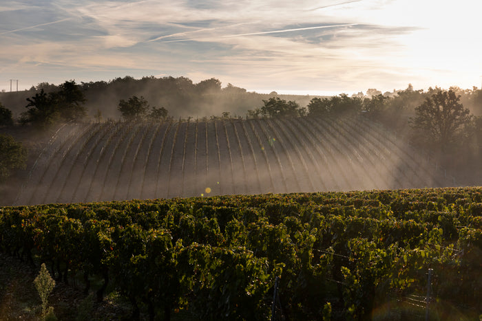 Cahors