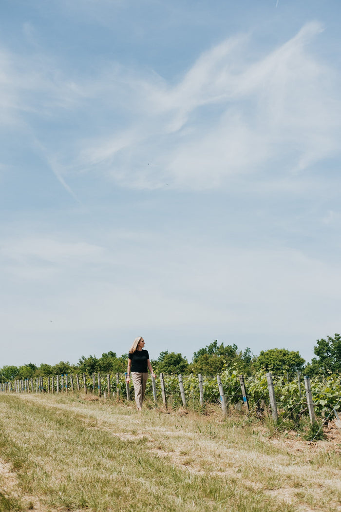 Chablis 1er cru Vau Ligneau