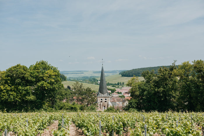 Chablis