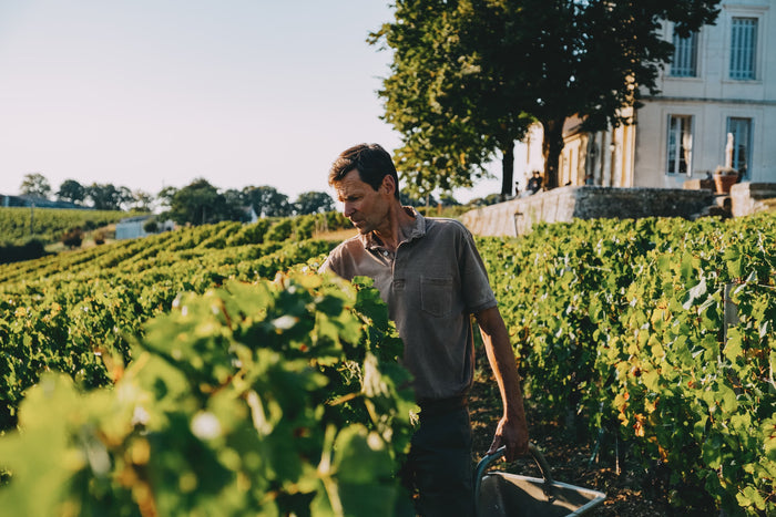 Lalande-de-Pomerol
