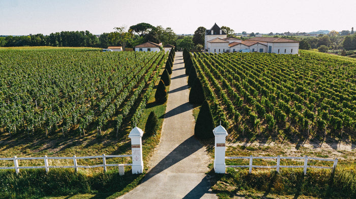 Lalande-de-Pomerol