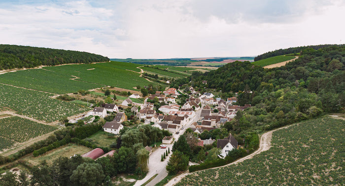 Chablis 2025